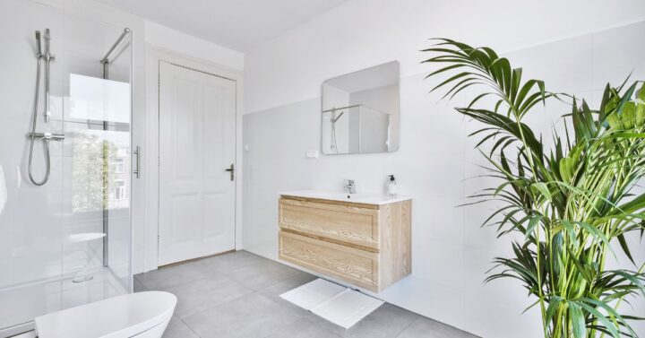 A potted plant in a newly renovated bathroom.