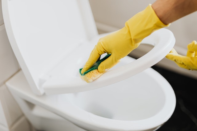 A person thoroughly cleaning the toilet bowl.