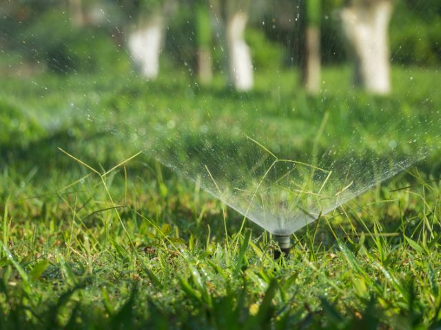 Garden water sprinkler on a grassy field.
