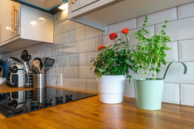 Healthy looking kitchen with wooden kitchen bench with two pot plants 